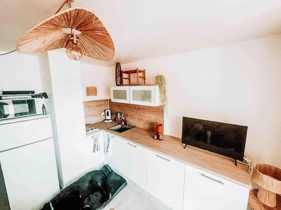 La Casita ,Appartement Face A L'Etang Le Barcarès Exterior foto