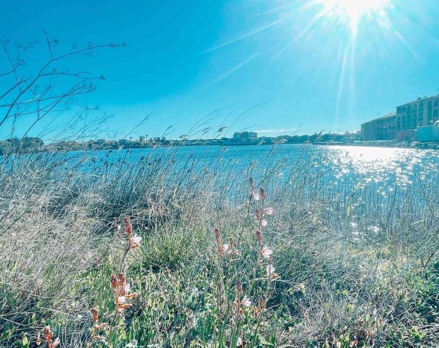 La Casita ,Appartement Face A L'Etang Le Barcarès Exterior foto